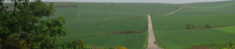 To Santo Domingo de Calzada