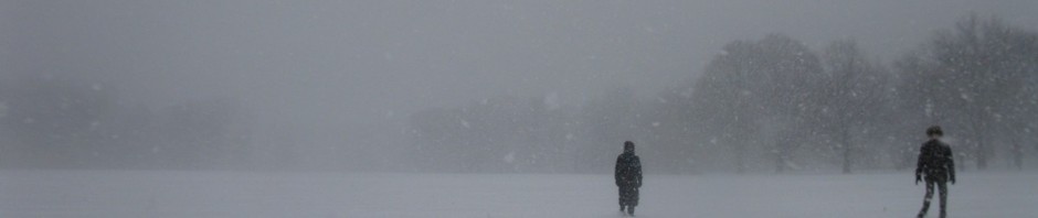 Lost in the snow in Central Park